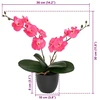 Dirbtinė orchidėjų augalas Raudona 36 x 10 x 30 cm