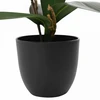 Dirbtinė orchidėjų augalas Rožinė 36 x 10 x 30 cm