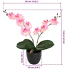 Dirbtinė orchidėjų augalas Rožinė 36 x 10 x 30 cm