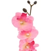 Dirbtinė orchidėjų augalas Rožinė 36 x 10 x 30 cm