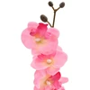Dirbtinė orchidėjų augalas Rožinė 36 x 10 x 30 cm