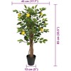 Dirbtinis citrinmedis su trimis kamienais, žalias, 85cm, PP