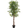 Dirbtinis citrinmedis su trimis kamienais, žalias, 180cm, PP