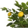 Dirbtinis citrinmedis su trimis kamienais, žalias, 120cm, PP