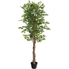 Dirbtinis citrinmedis su trimis kamienais, žalias, 180cm, PP