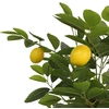 Dirbtinis citrinmedis su trimis kamienais, žalias, 120cm, PP