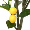 Dirbtinis citrinmedis, žalios spalvos, 120cm, 136 lapai