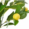 Dirbtinis citrinmedis, žalios spalvos, 90cm, 234 lapai