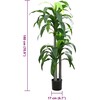 Dirbtinis dracenos medis, žalios spalvos, 180cm, 36 lapai