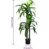 Dirbtinis dracenos medis, žalios spalvos, 180cm, 36 lapai