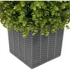 Eukalipto žolių bokštas Žalia 27 x 27 x 90 cm Plastmasė