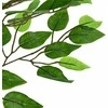 Dirbtinis fikuso augalas, žalios spalvos, 200cm, 1260 lapai