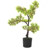 Dirbtinis kiparisinis bonsai medelis su vazonu, 60cm, žalias