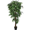 Dirbtinis mango medis, žalios spalvos, 180 cm, 900 lapų