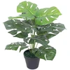 Dirbtinis Monstera augalas su vazonu, 45 cm, žalias