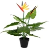 Dirbtinis Strelitzia Augalas Žalia 65 x 13 x 55 cm