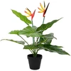 Dirbtinis Strelitzia Augalas Žalia 65 x 13 x 55 cm
