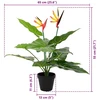 Dirbtinis Strelitzia Augalas Žalia 65 x 13 x 55 cm
