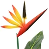 Dirbtinis Strelitzia Augalas Žalia 65 x 13 x 55 cm