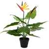Dirbtinis Strelitzia Augalas Žalia 65 x 13 x 55 cm