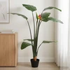 Dirbtinis Strelitzia Augalas Žalia 70 x 18 x 155 cm