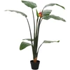 Dirbtinis Strelitzia Augalas Žalia 70 x 18 x 155 cm