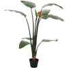 Dirbtinis Strelitzia Augalas Žalia 70 x 18 x 155 cm