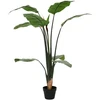 Dirbtinis Strelitzia Augalas Žalia 70 x 18 x 155 cm