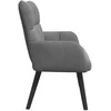 Dviejų vietų sofa Tamsiai pilka 115 x 61 x 87 cm Aksomas