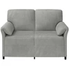 Dvitaškė sofa Šviesiai pilka 138 x 83 x 95 cm Aksomas