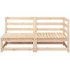 Dvivietė sodo sofa, pušies medienos masyvas