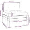 Dvivietė sodo sofa su kreminėmis pagalvėlėmis, pušies masyvas