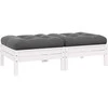 Dvivietė sodo sofa su pagalvėlėmis, balta, pušies masyvas
