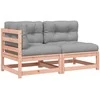 Dvivietė sodo sofa su pagalvėlėmis, douglas eglės masyvas