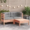 Dvivietė sodo sofa su pagalvėlėmis ir pakoja