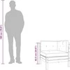 Dvivietė sodo sofa su pagalvėlėmis ir pakoja