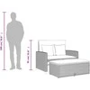 Dvivietė sodo sofa su pagalvėlėmis, pilkas, poliratanas/akacija