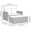 Dvivietė sodo sofa su pagalvėlėmis, smėlio, poliratanas/akacija