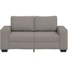 Dvivietė sofa, pilkai ruda, 160x77x82 cm, audinys