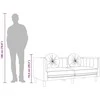 Dvivietė sofa su pagalvėlėmis, rožinės spalvos, aksomas