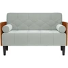 Dvivietė sofa su pagalvėlėmis, šviesiai pilka, 110 cm, aksomas