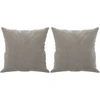 Dvivietė sofa su pagalvėmis, šviesiai pilka, 120cm, aksomas