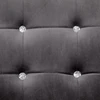 Dvivietė sofa su porankiais, tamsiai pilka, chromas ir aksomas