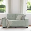 Dvivietė sofa, šviesiai pilka, 160x77x82 cm, aksomas