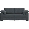 Dvivietė sofa, tamsiai pilka, 180x77x82 cm, aksomas