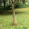 Džiuto ritinys, 0,25x10m, 100% džiutas, 200 g/m²
