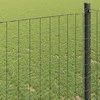 Euro tvora 0,4 x 50 m PVC padengta geležis Pilka