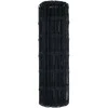 Euro tvora Pilka 0.8 x 10 m PVC padengta geležis