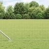 Tvora su stulpais Sidabro 0,6 x 50 m Plienas