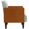 Fotelis Sofa-kėdė su porankiais, šviesiai pilka, 55 cm, aksomas